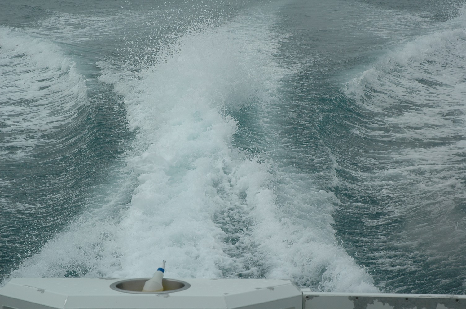 174   30 01   Kaikoura